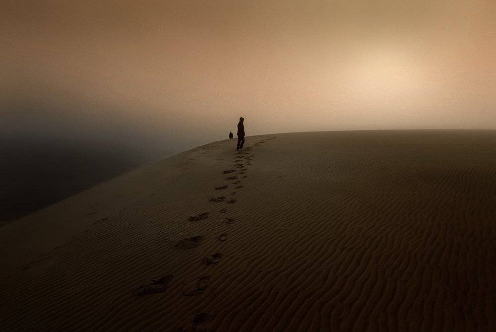 , Александр Титаренко