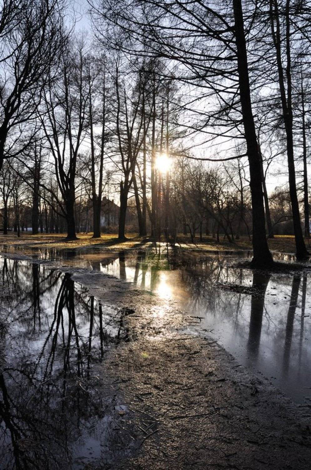 , Александр Ванюков