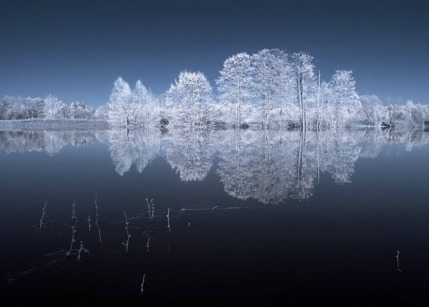 , Максим Евдокимов