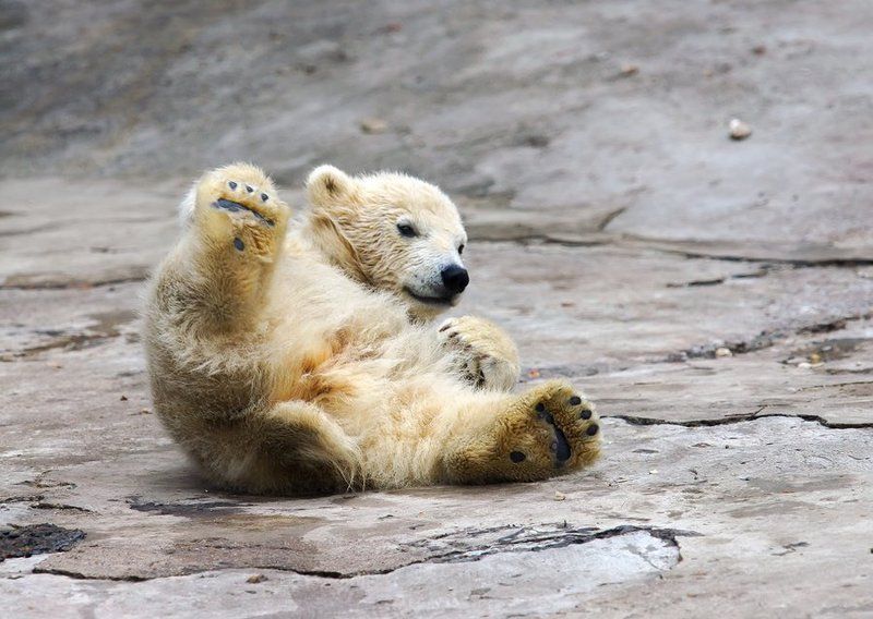 Ой...!!! фото превью