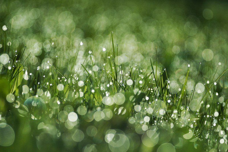 morning фото превью