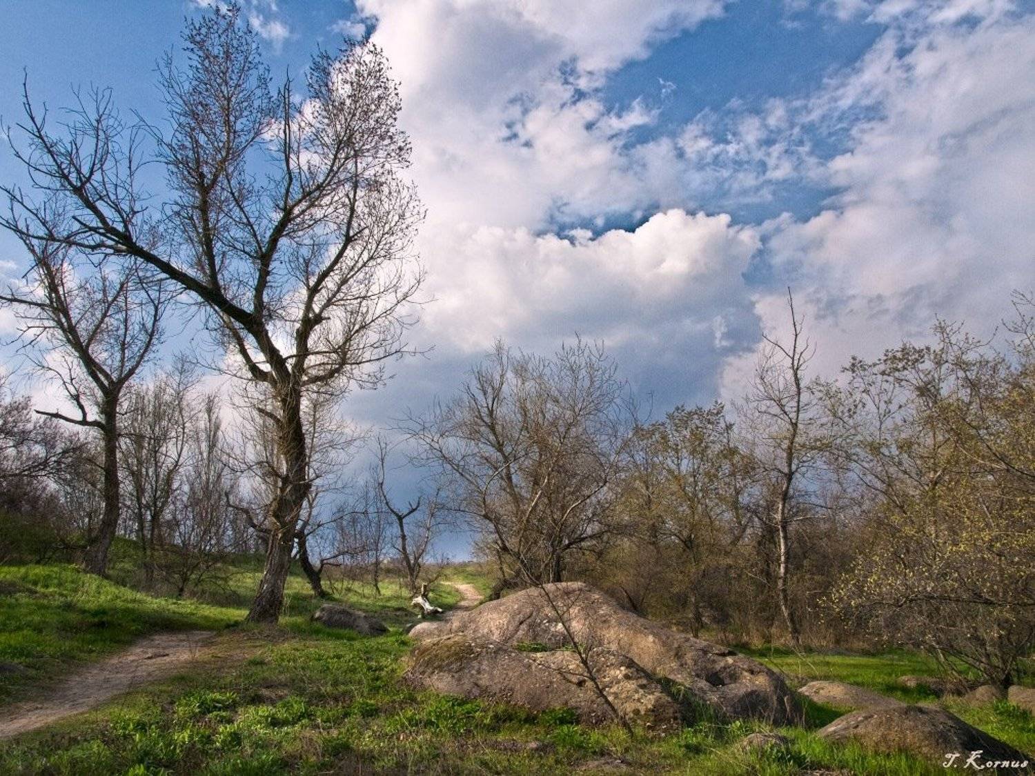 хортица,днепр,пейзаж,зима,закат,вечер, Татьяна Корнус