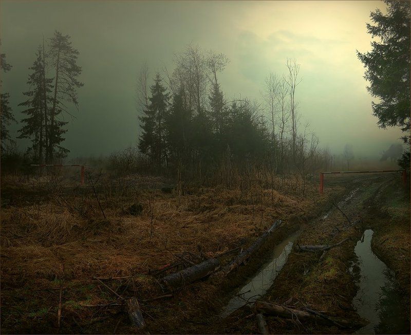 *Сезон охоты* фото превью