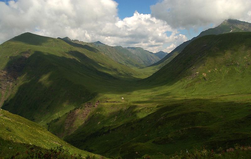 *** фото превью