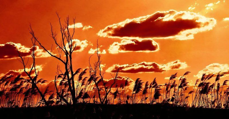 зарево, небо, *** фото превью