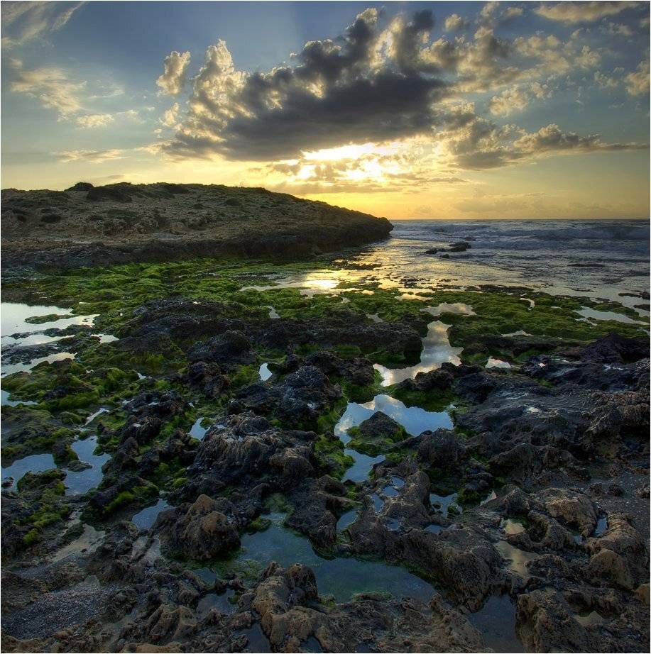 , Александр Беляев