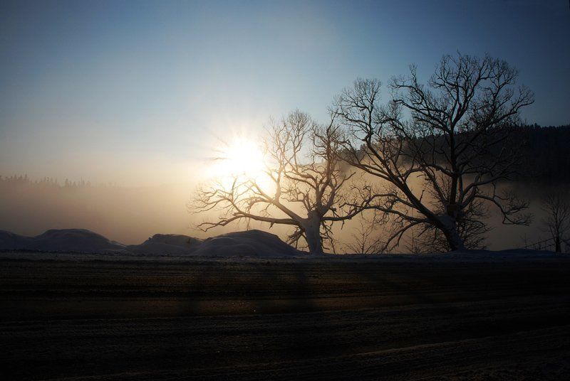 солнце, рассвет, туман, утро утренний путь фото превью