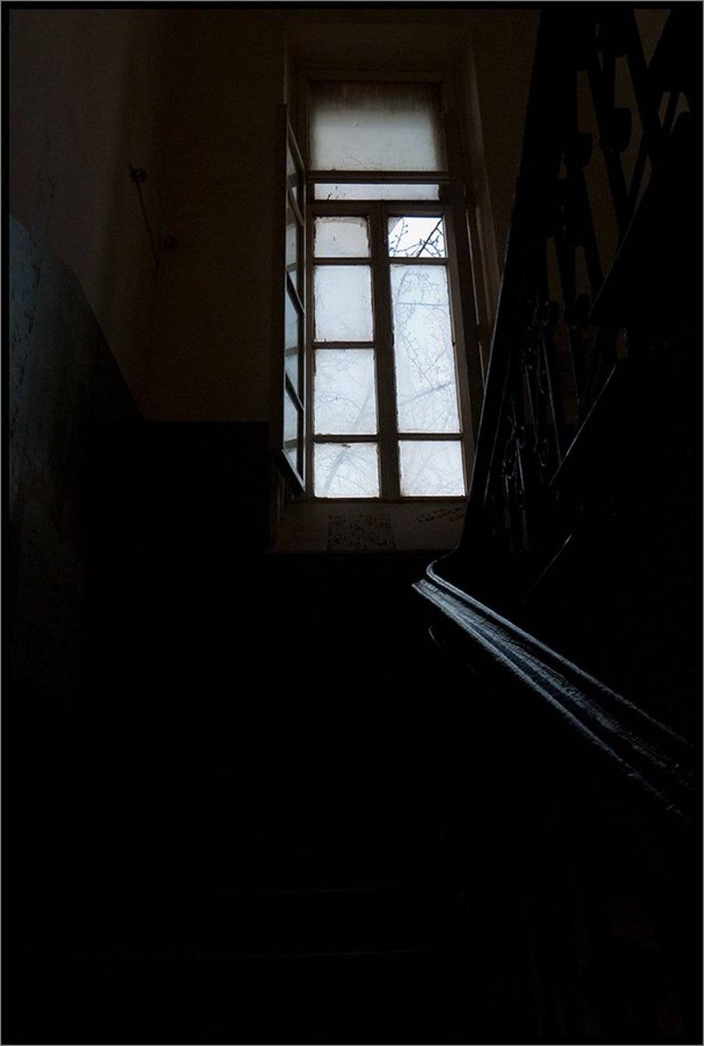 , Лунный Ежик