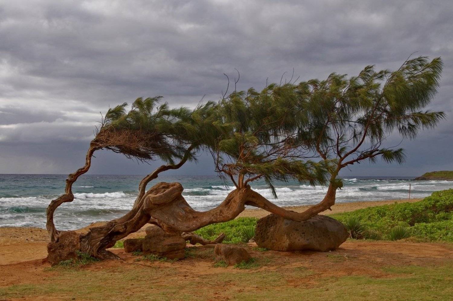 станко, океан, пляж, море, небо, гавайи, Андрей Станко