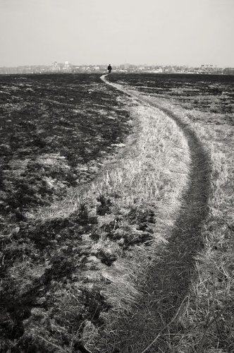 У каждого своя дорога...