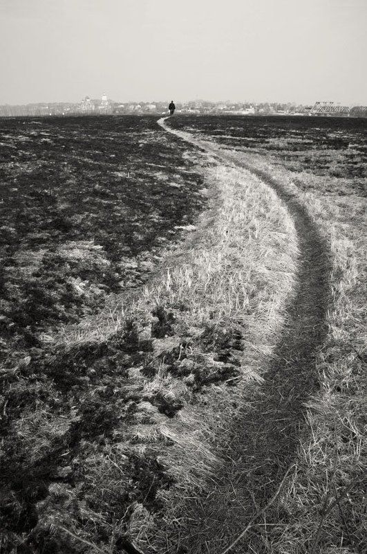 путь, дорога У каждого своя дорога... фото превью