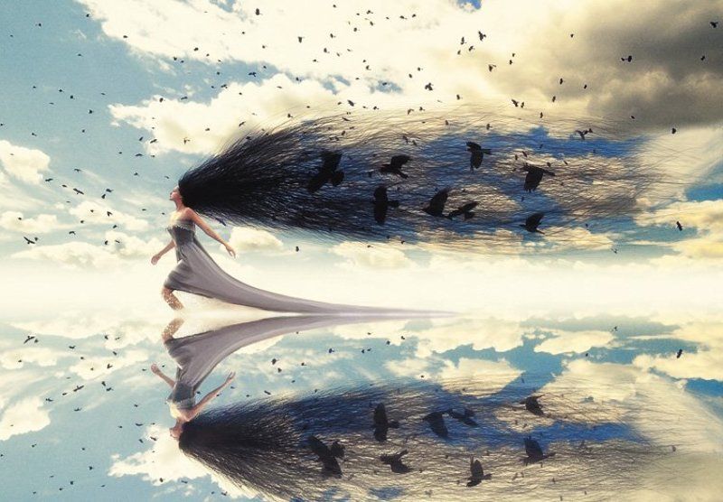 wwwest Зефир (финальный вариант) фото превью