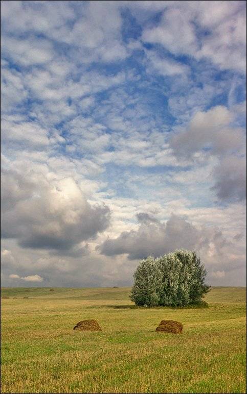 небо, лето, рязанщина, Тарасов Алексей