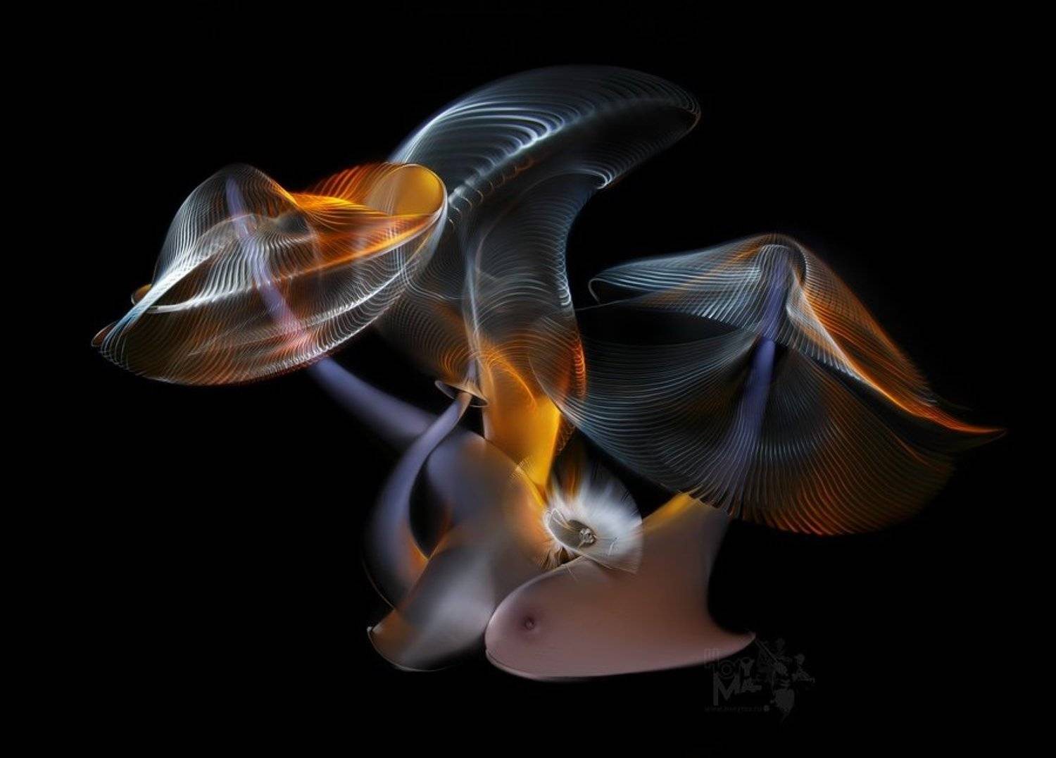 светографика, витые сдвиги, графика, портрет, история, сюжет, предметы, HoryMa (ХориМа)