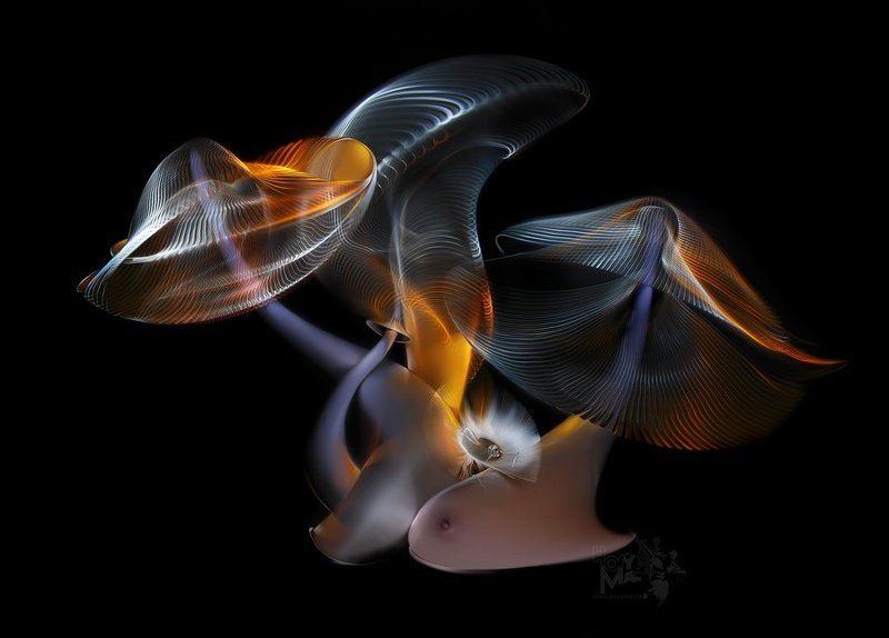 светографика, витые сдвиги, графика, портрет, история, сюжет, предметы Грибки в тысячу струй...  (Светографика - Витые сдвиги 2009 ) фото превью