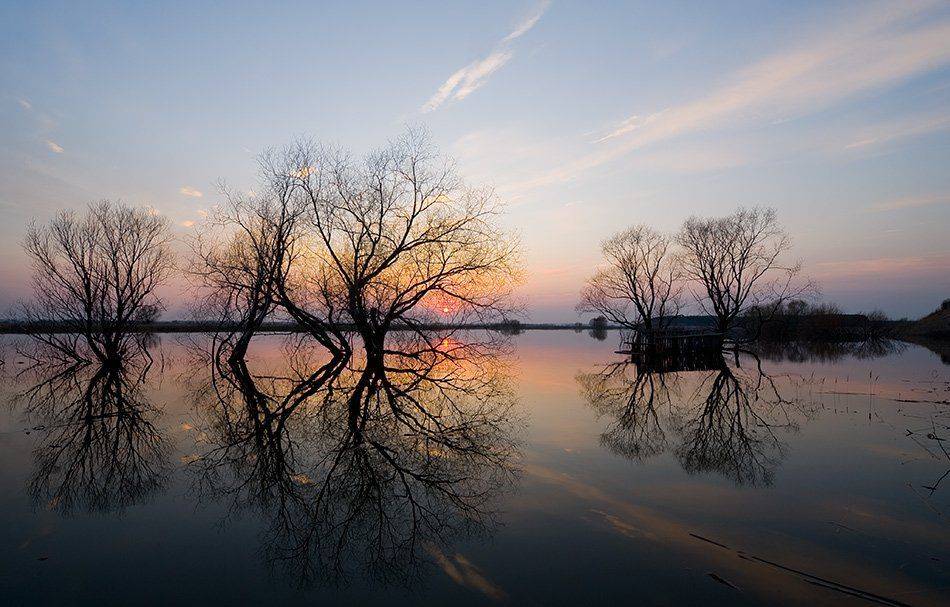 , Андрей Алексеев
