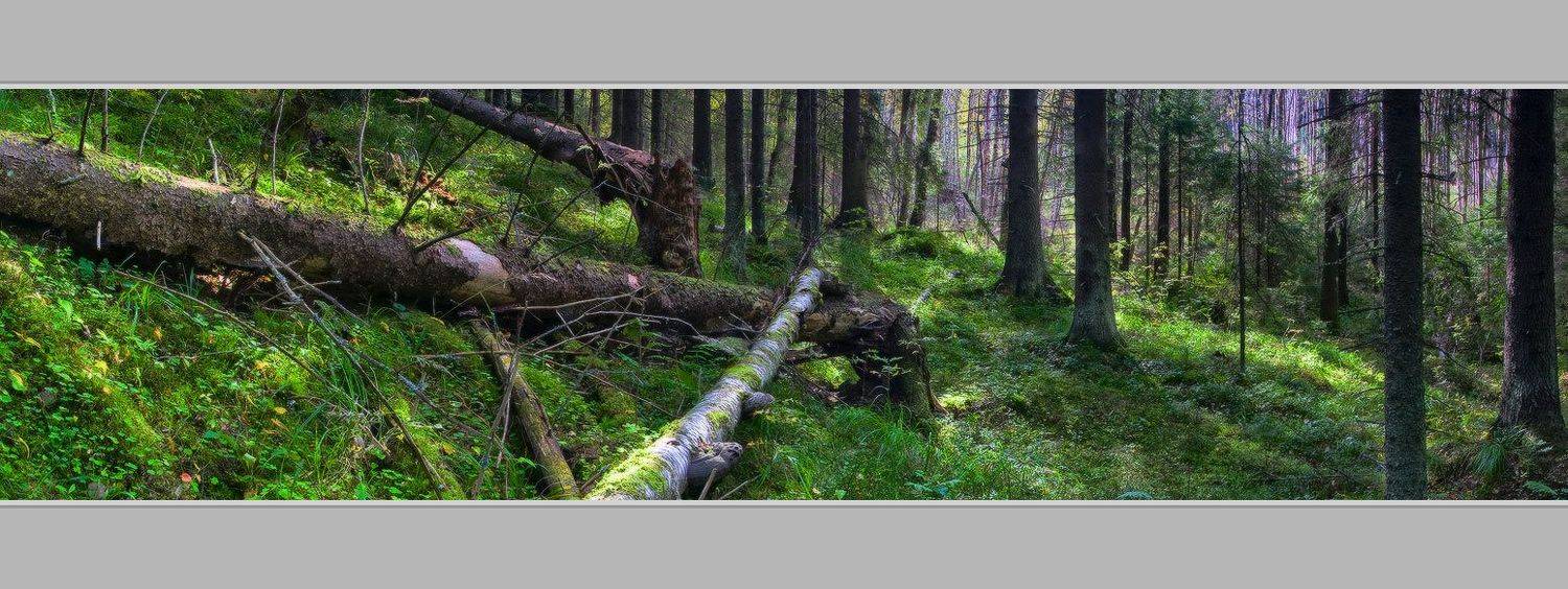 , Viktor Kalechenkov