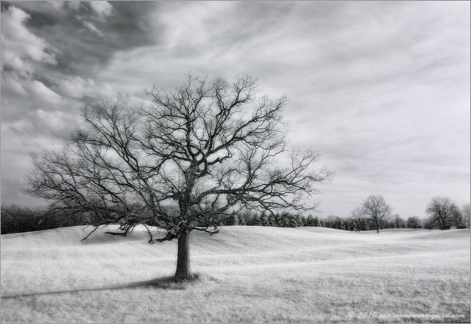 пейзаж, pilgrim, инфракрасный, infrared, Pilgrim