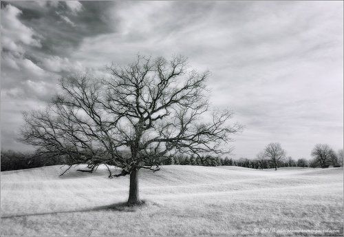 The fresh, white air...