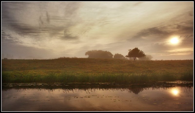 chas volka фото превью
