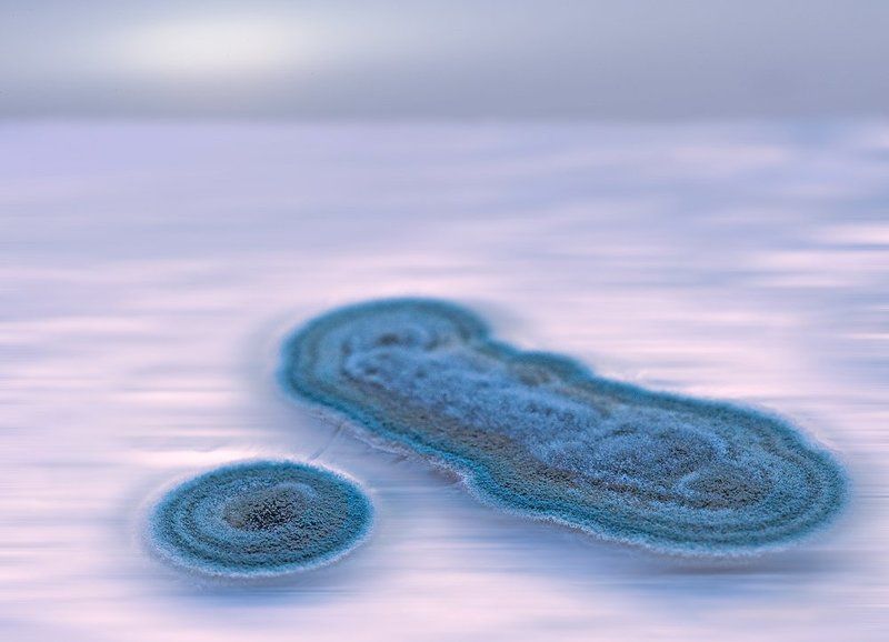 два острова в далеком океане фото превью