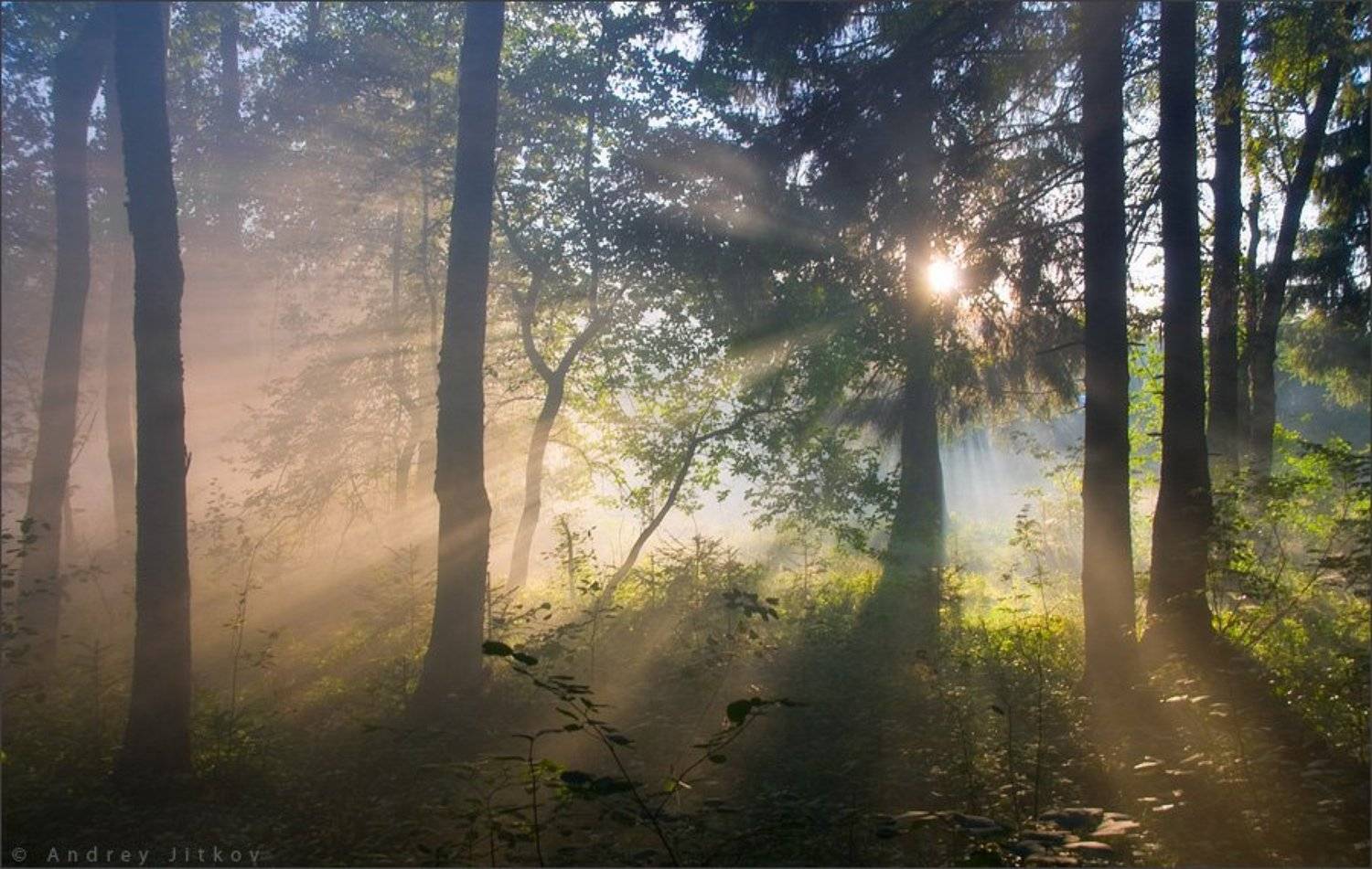 , Андрей Житков