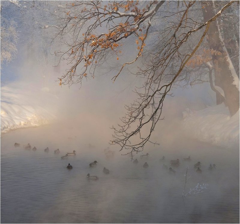Сказочное утро фото превью