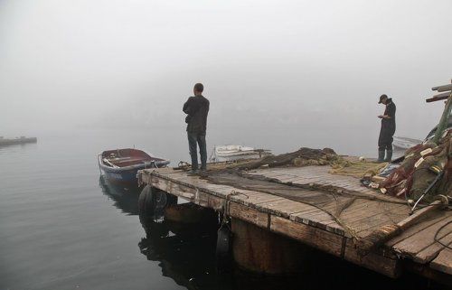 у моря погоды....