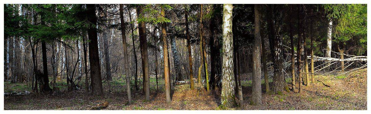 , Александр Мартынов