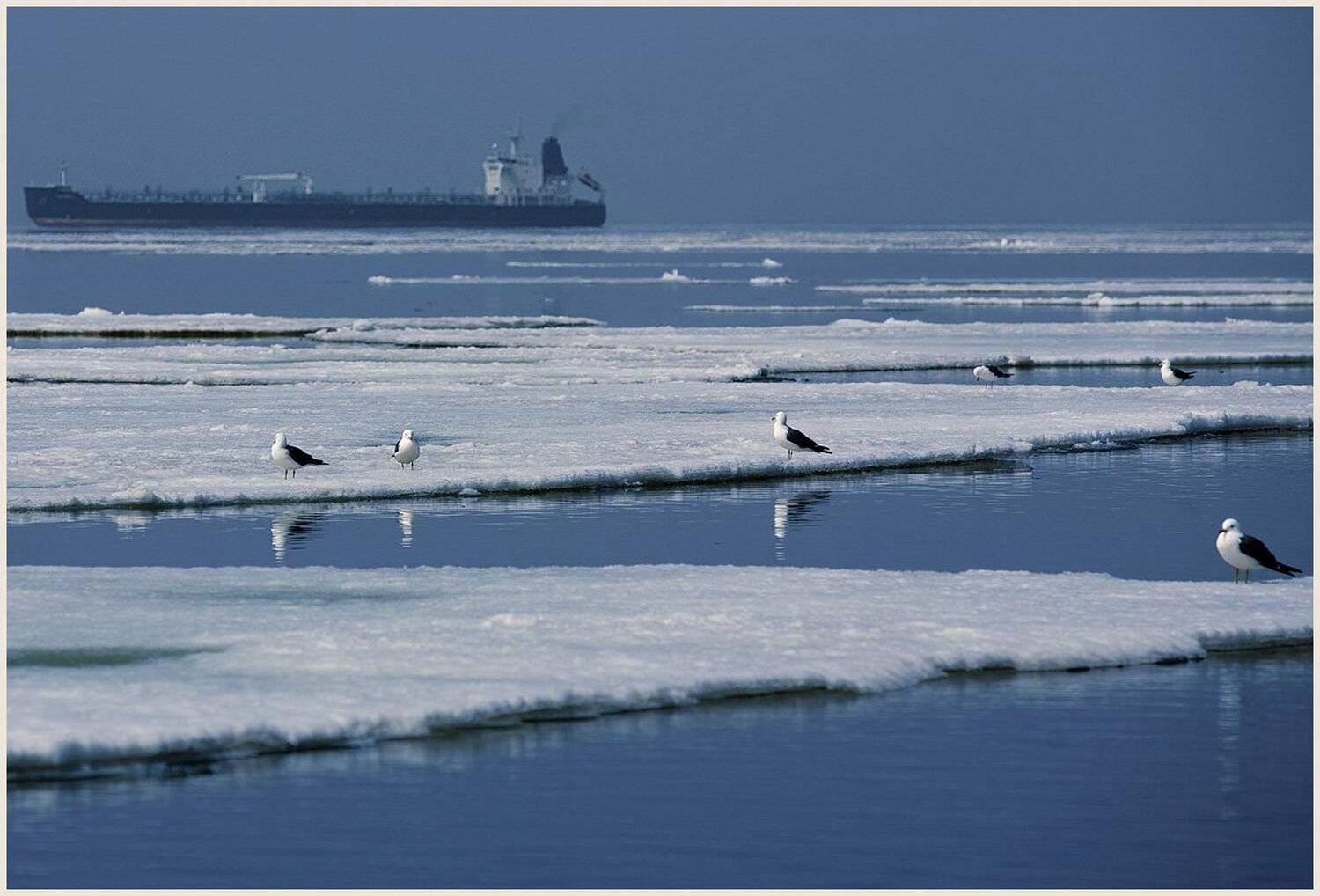 , Алексей Шлыков