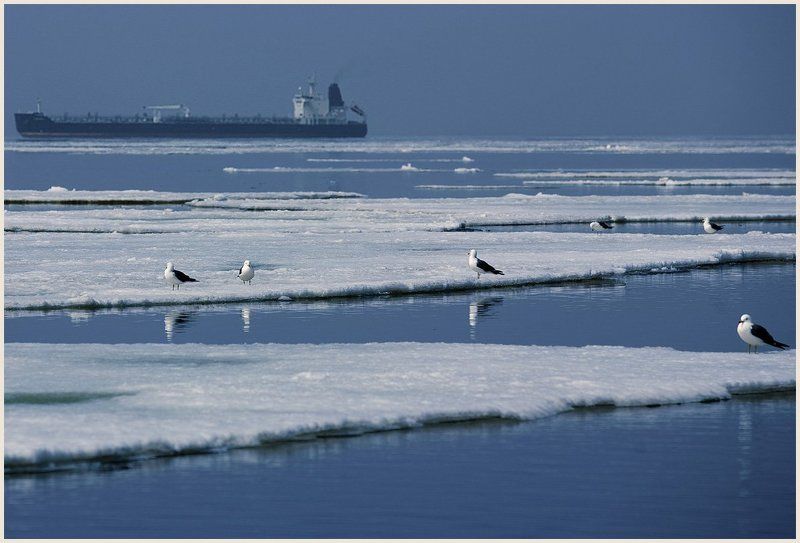 как провожают пароходы... фото превью