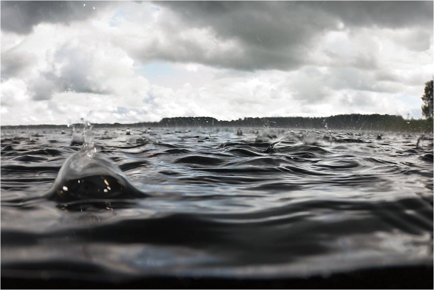 , Сергей Шанин