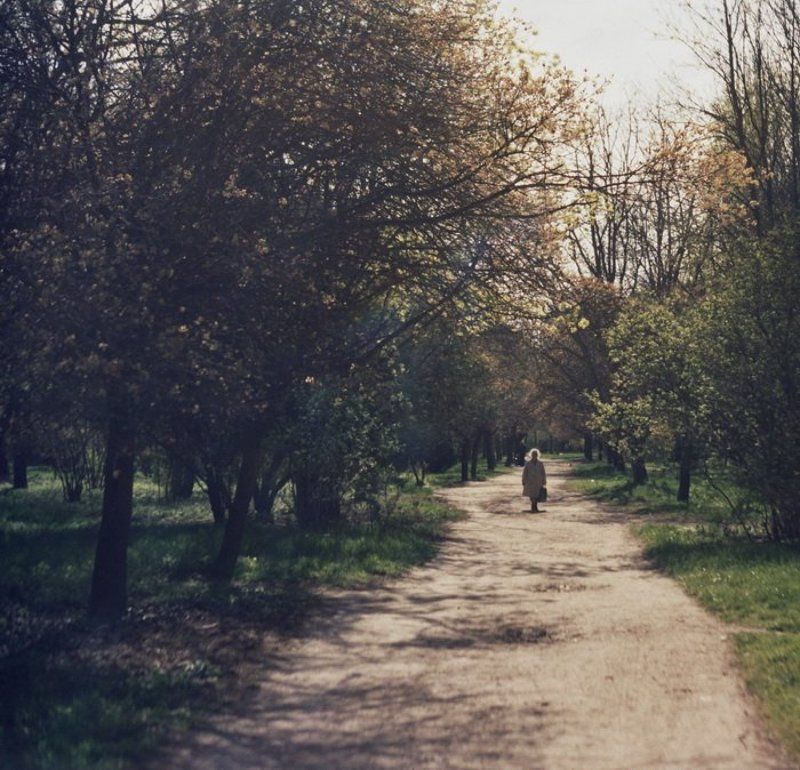 фед5в, пленка, 35мм Годы фото превью