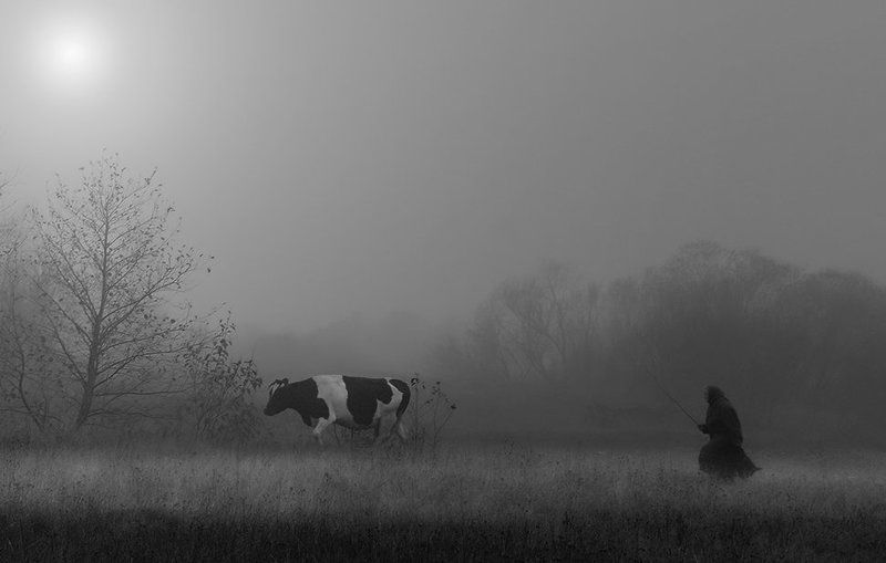 ВСЕГДА ТОЛЬКО ВДВОЁМ... фото превью