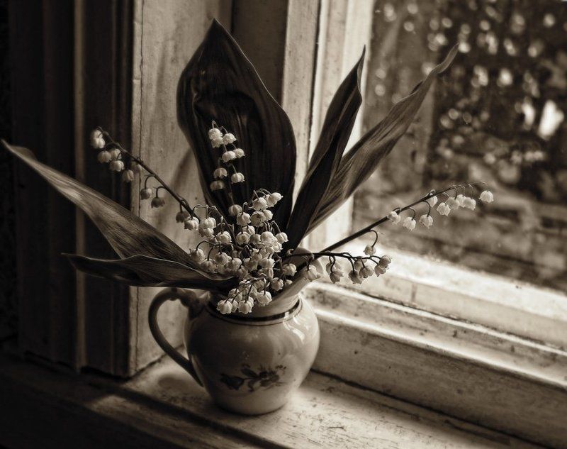 ландыши, цветы, май О светлом мае фото превью