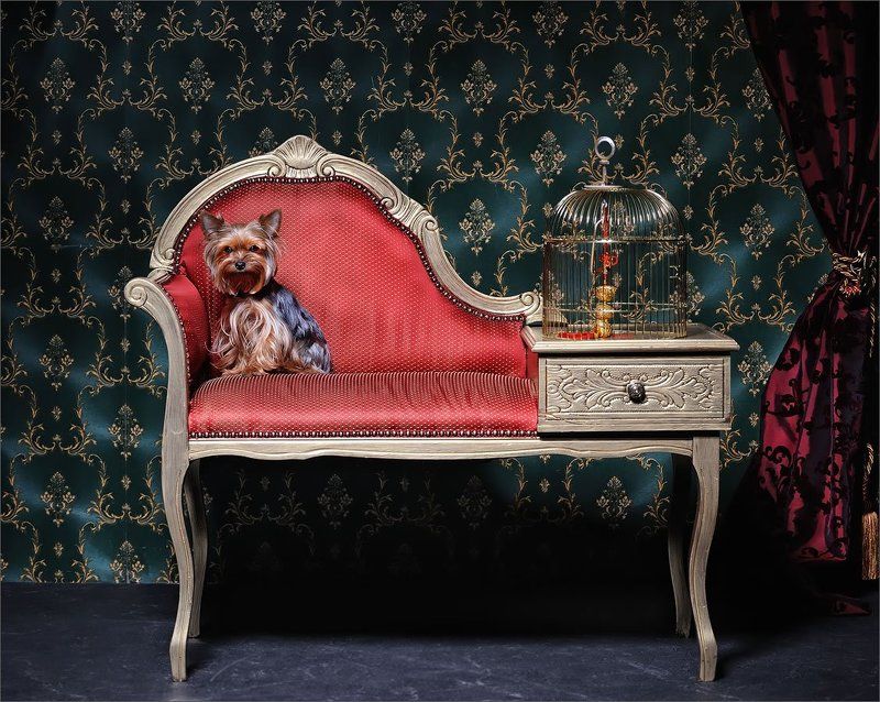 глАмур фото превью