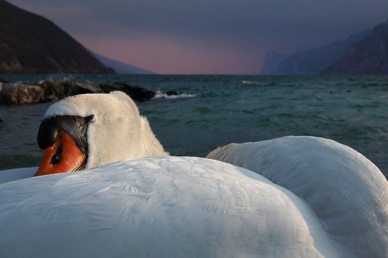 Сон на закате фото превью