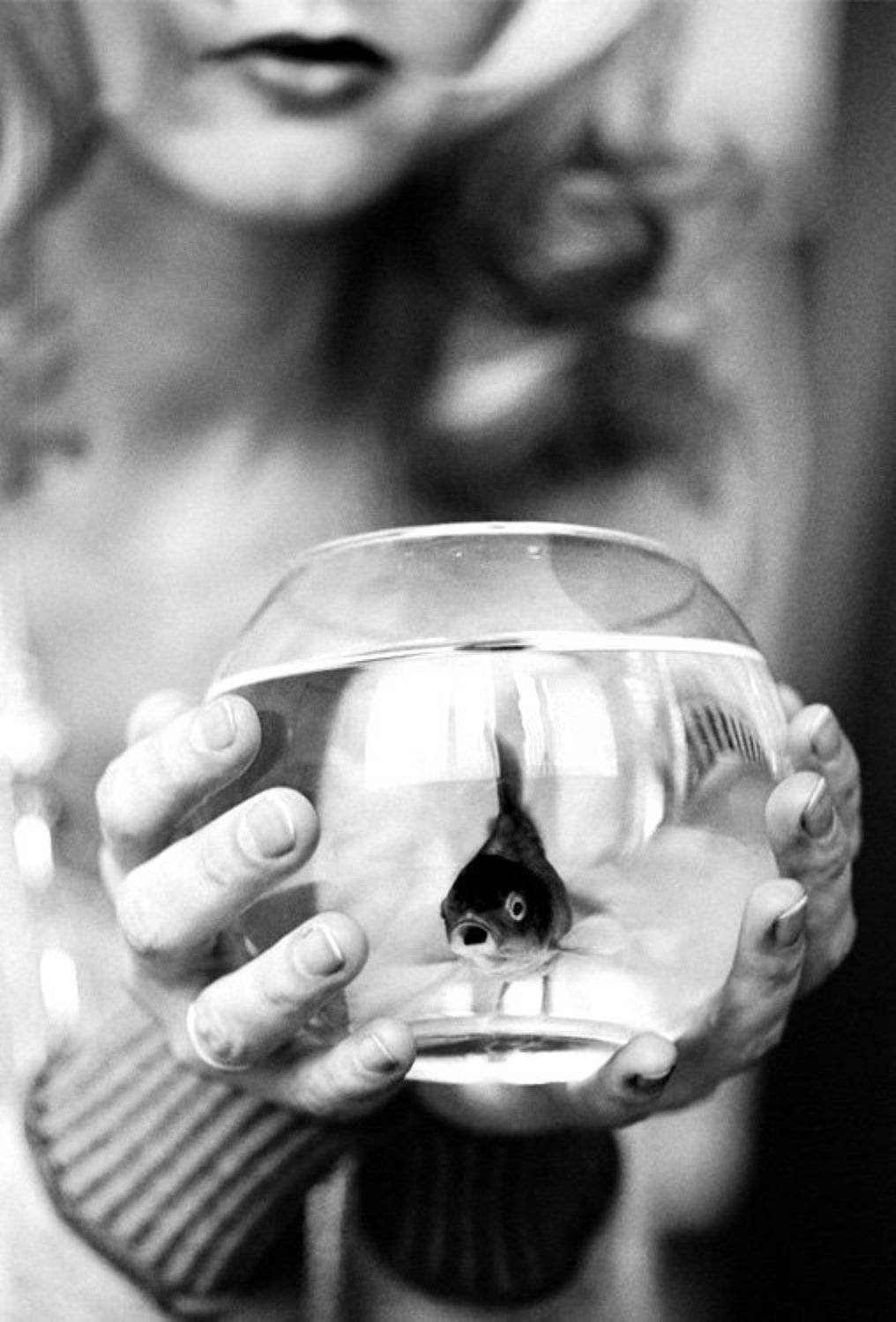 рыбка, аквариум, руки, губы, Rada*