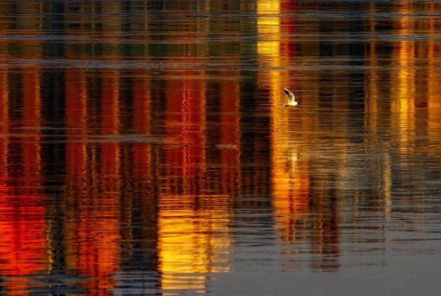 нева, вечер, краски, закат, Yuri Ivanov