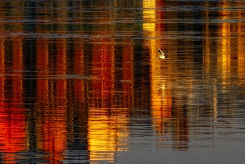 нева, вечер, краски, закат Прогулки по набережной фото превью