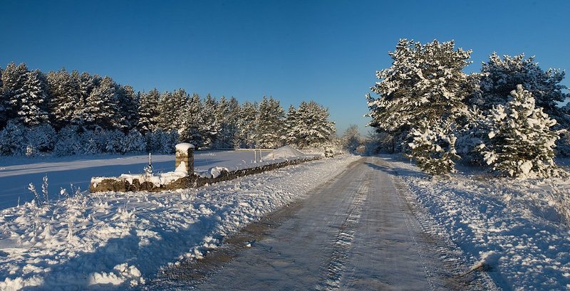 природа, пейзаж, игорь. *** фото превью
