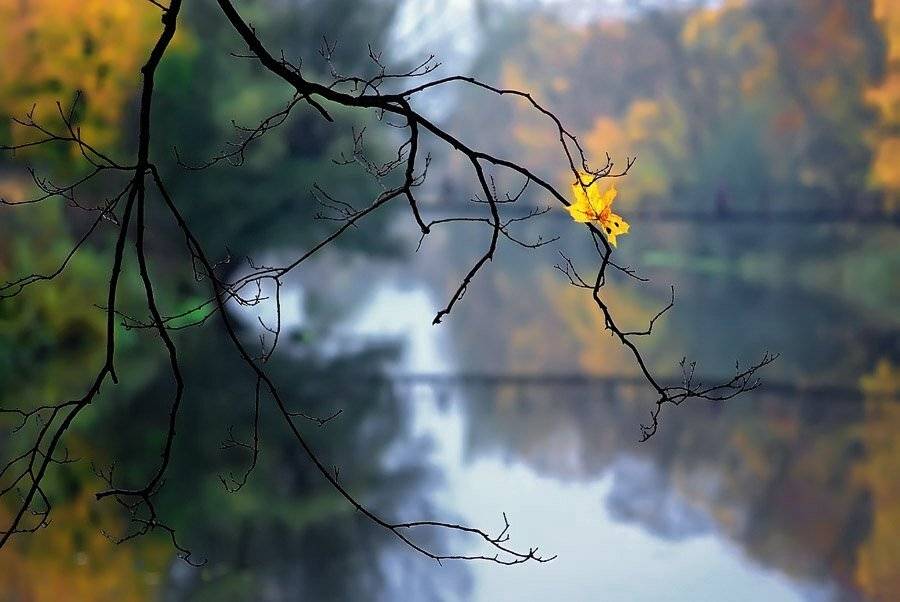 , Александр Титаренко