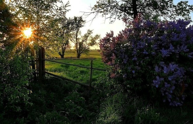 Май фото превью