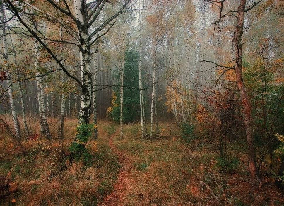 , Владимир Липецких