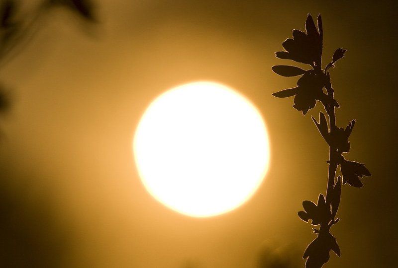 Тепло фото превью