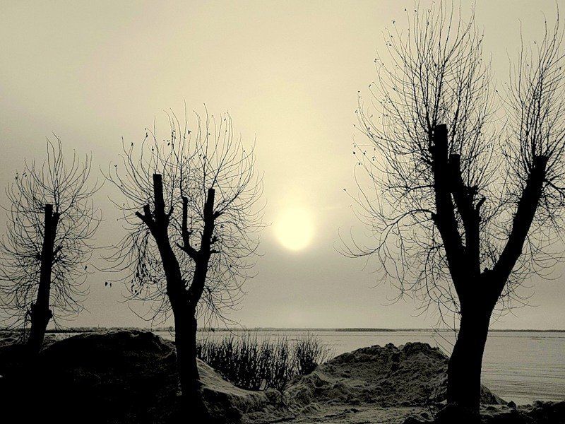 Юг или Север... фото превью