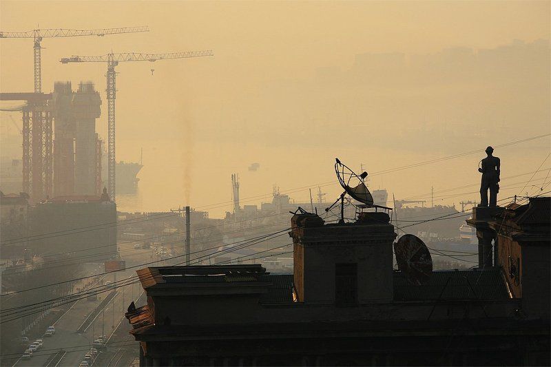 утро фото превью