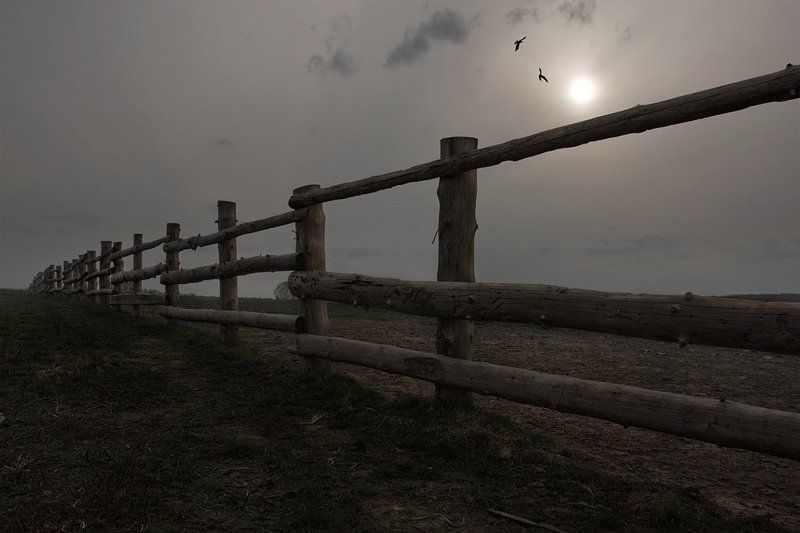 Краденое солнце фото превью