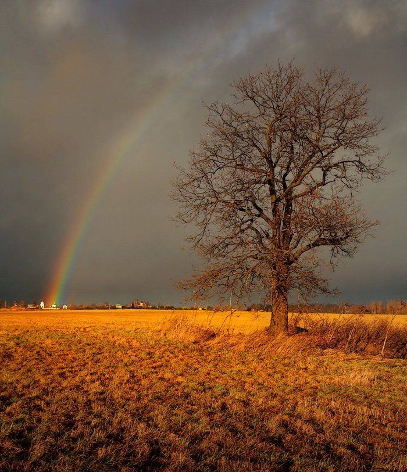 , Владимир Скляров