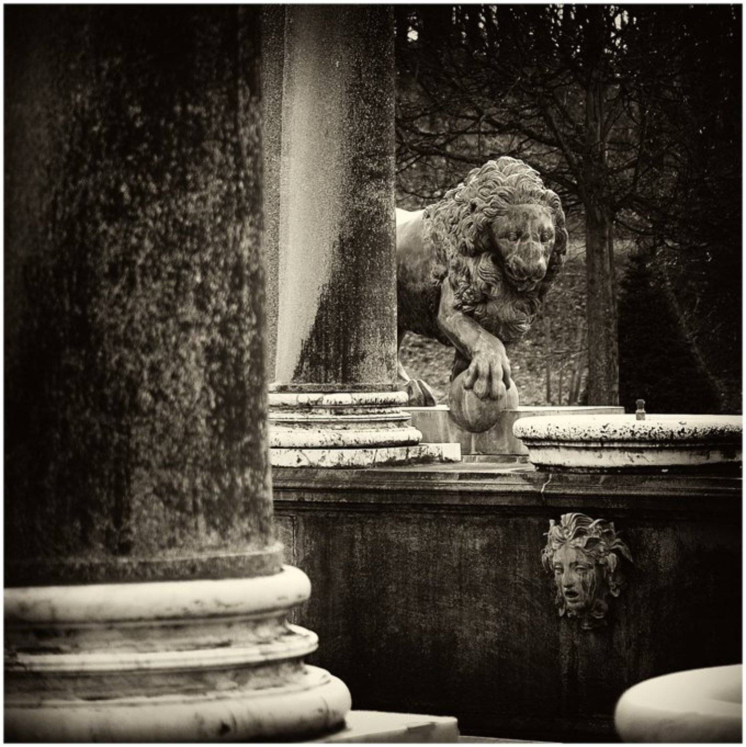 петергоф, львиный, каскад, фонтан, бродский, isazonov
